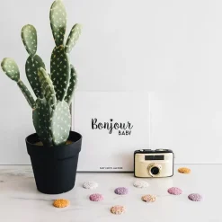 Baby'S Eerste Jaar Boek Bonjour To You