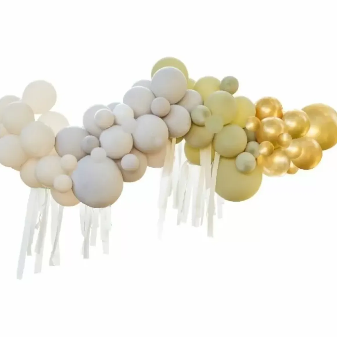 Ballonslinger Leaves Green Lets Go Wild Ginger Ray