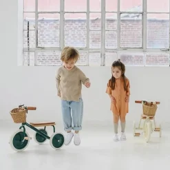 Banwood Trike Driewieler Groen