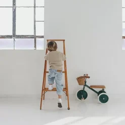 Banwood Trike Driewieler Groen