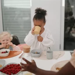 Bekers Sage (2St) Mushie