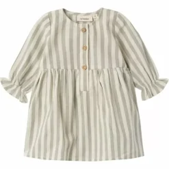 Bestel Nu De Schattige Lil' Atelier Jurk Dino Turtledove Online!