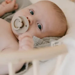 Bibs Fopspenen Set Vanilla/Cloud