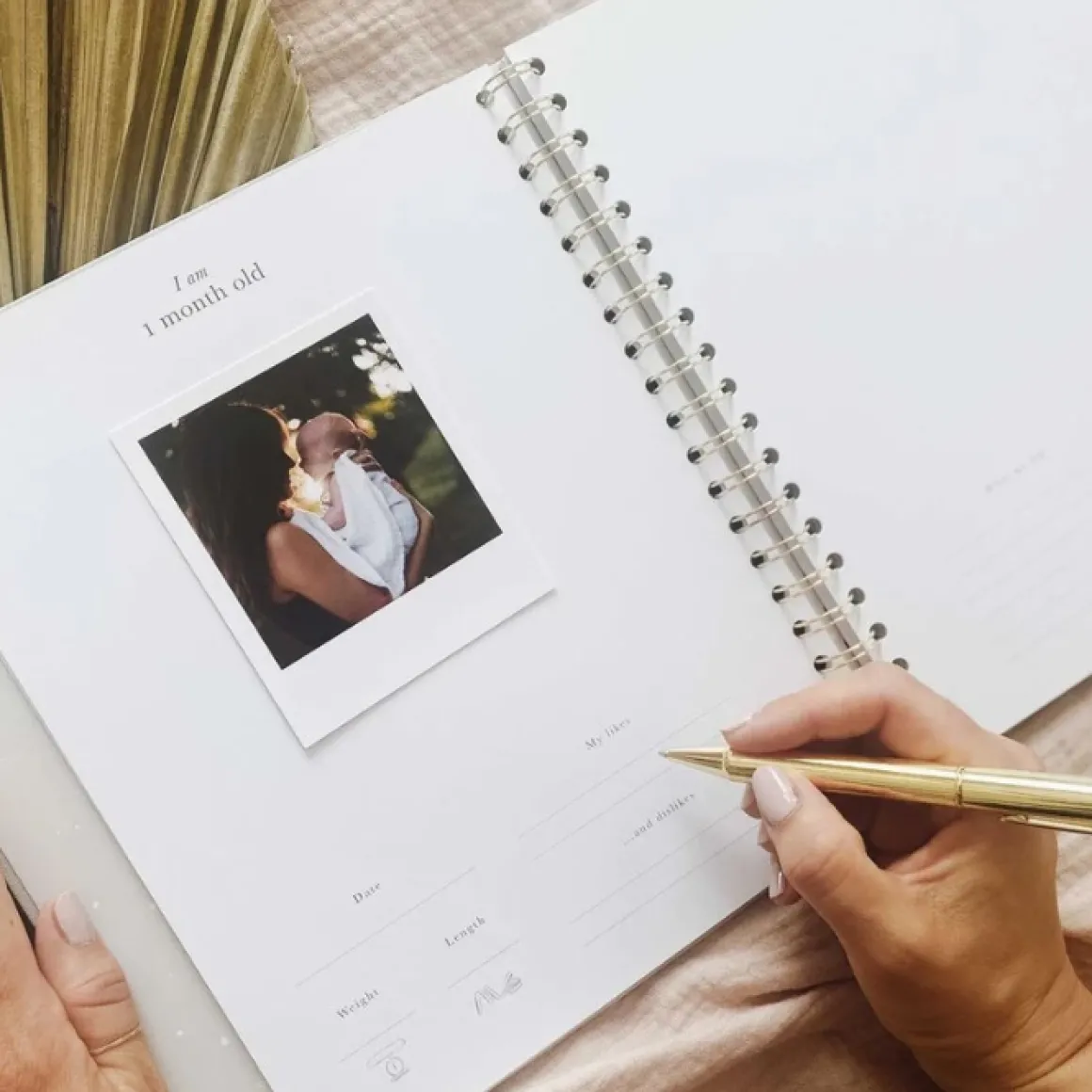 Blush & Gold Invulboek My Baby Book Wit