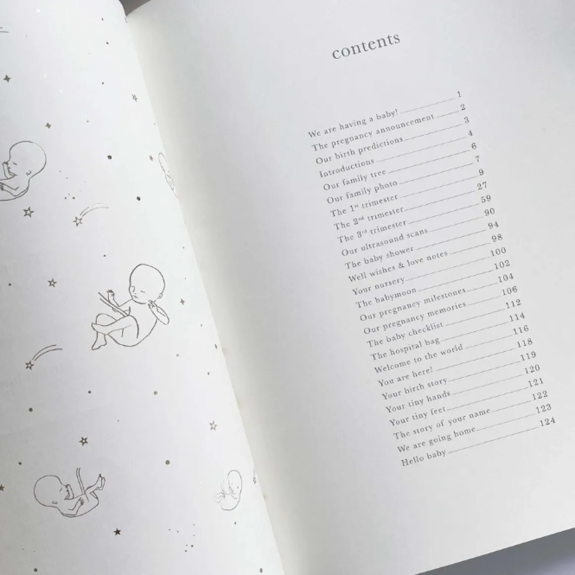 Blush & Gold Zwangerschapsdagboek Safari