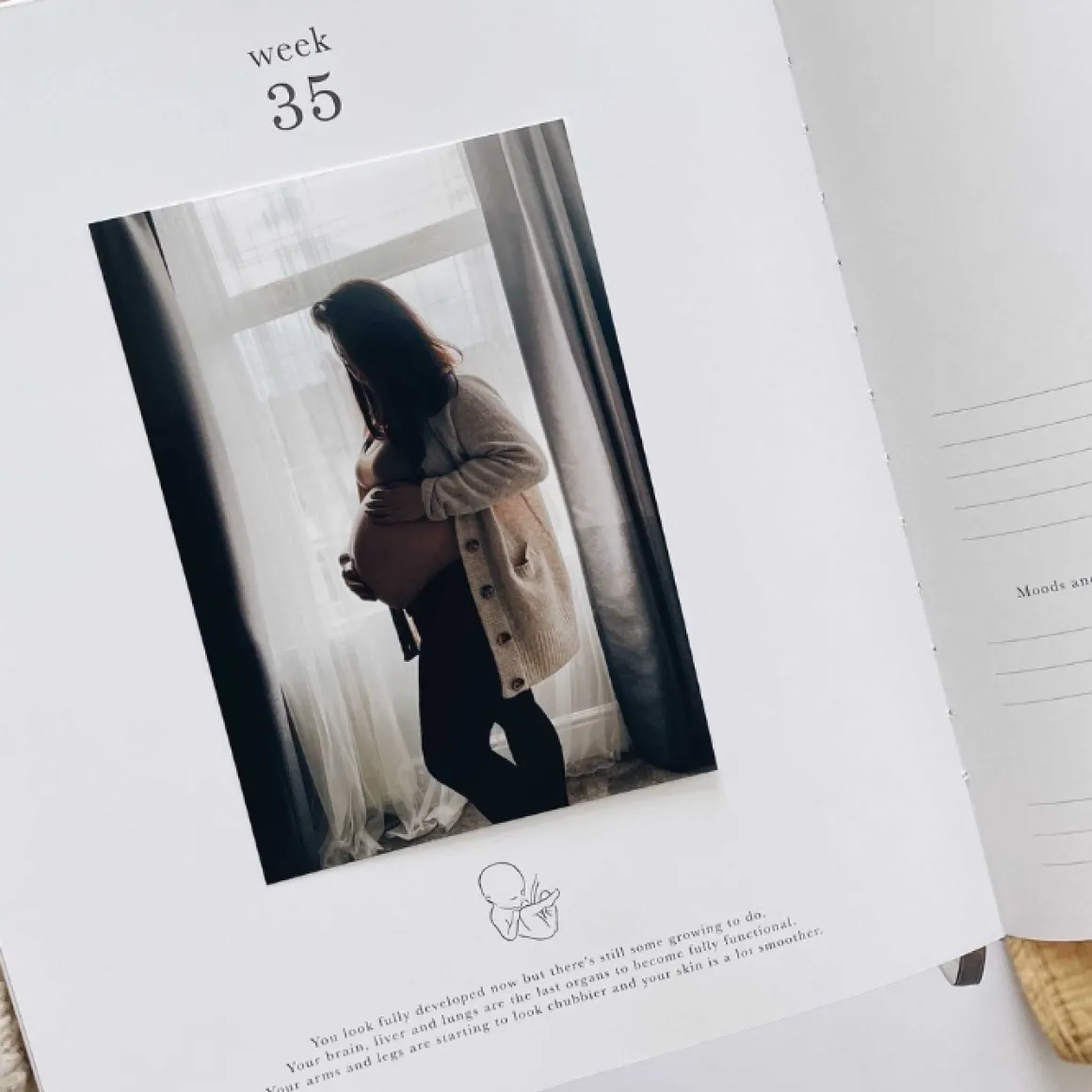 Blush & Gold Zwangerschapsdagboek Safari