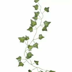 Decoratieve Klimop 2M (5St) Beautiful Botanics Ginger Ray