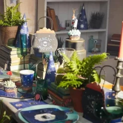 Feesthoedjes En Staf Tovenaar Making Magic (6St) Meri Meri