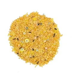 Grennn Speelrijst Bijen 500 Gram