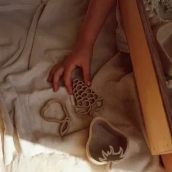 Grennn Uitstekers Fruit