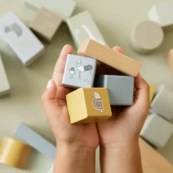 Houten Bouwblokken Blauw Little Dutch