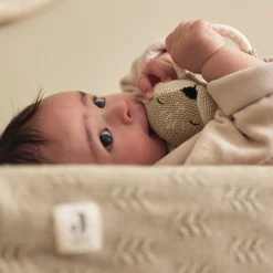 Jollein Bijtring Fox