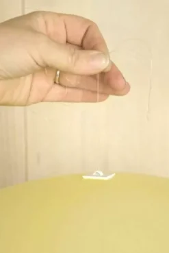 Kleefknopjes (6St) House Of Gia