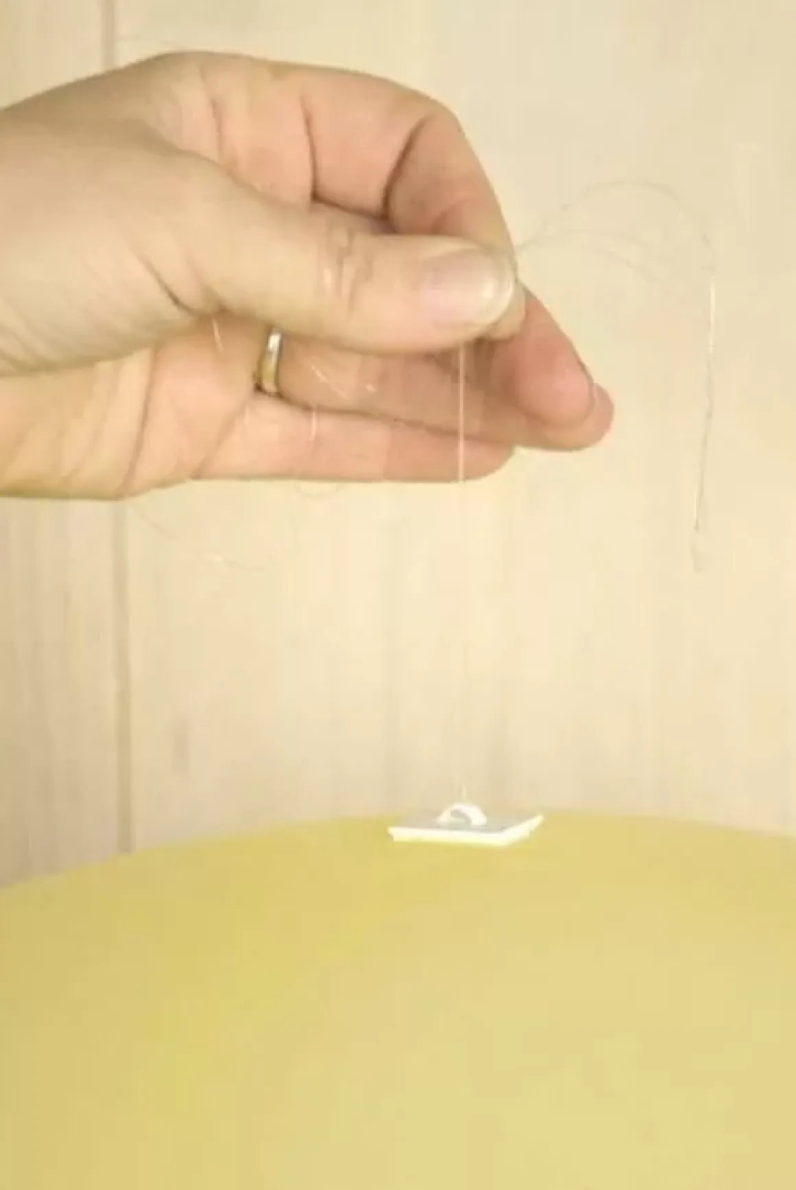 Kleefknopjes (6St) House Of Gia