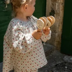 Konges Slojd Muziekset Zwaan