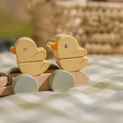 Little Dutch Blokkentrein Kip Little Farm