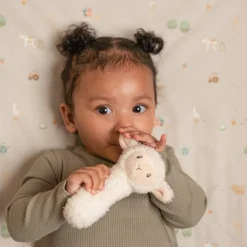 Little Dutch Rammelaar Schaap Little Farm