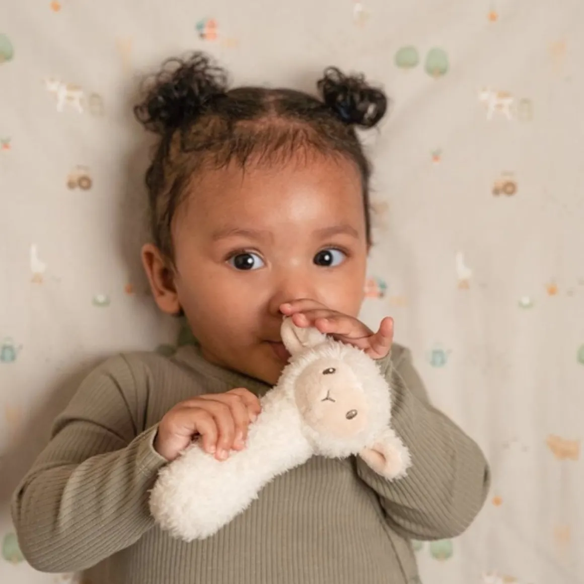 Little Dutch Rammelaar Schaap Little Farm