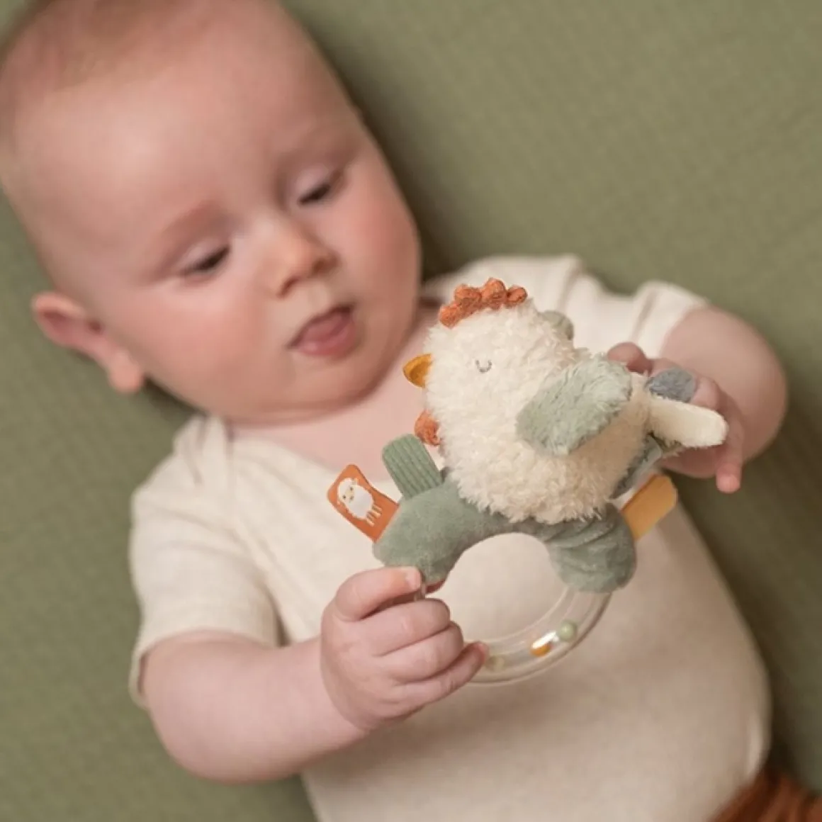 Little Dutch Ringrammelaar Kip Little Farm