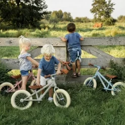 Loopfiets Mat Olijfgroen Little Dutch