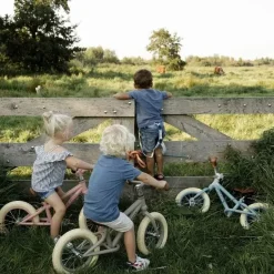 Loopfiets Mat Olijfgroen Little Dutch