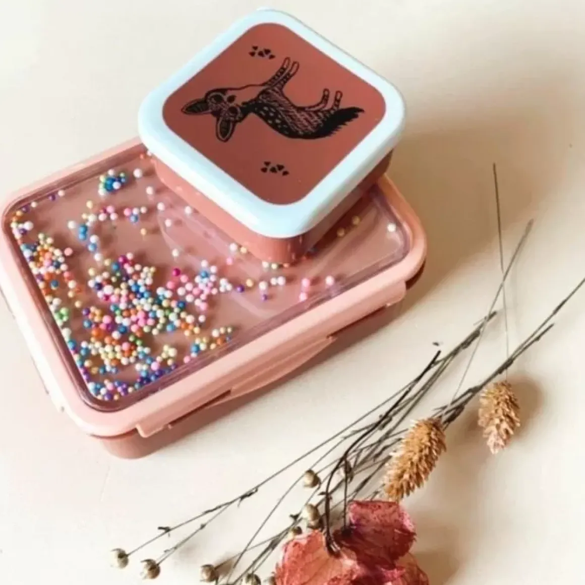 Lunchbox Pops Desert Rose Petit Monkey