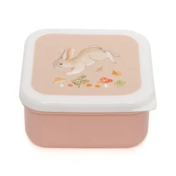 Lunchboxen Bear & Friends Petit Monkey (3St)