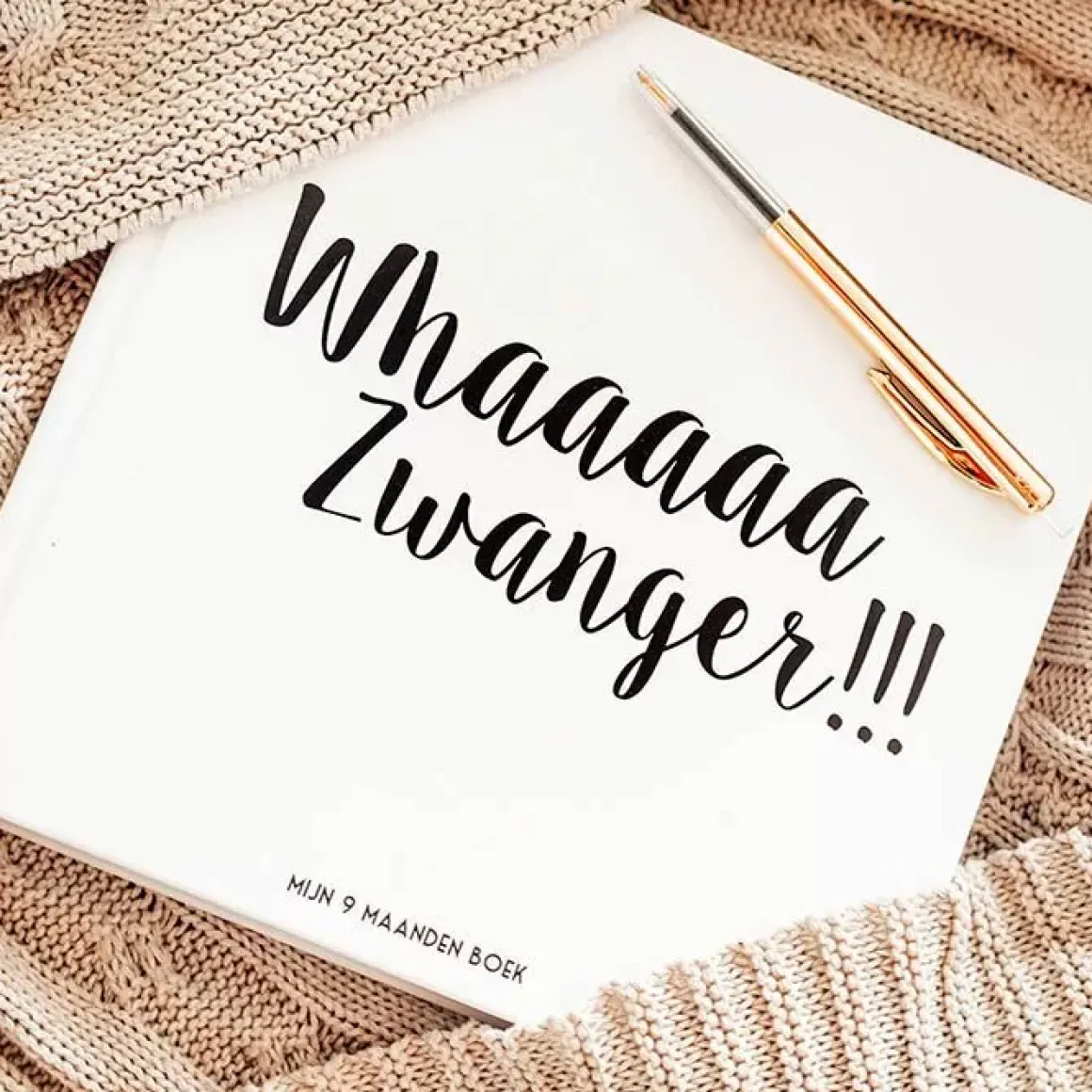 Mijn 9 Maanden Boek