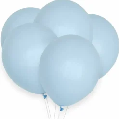 Pastel Ballonnen Blauw (10St)