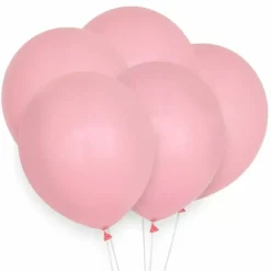 Pastel Ballonnen Roze (10St)
