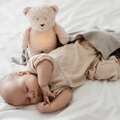 Slaapknuffel Humming Bear Rose Moonie