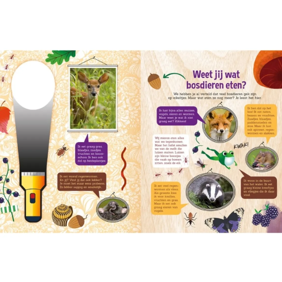 Zoekboek Speuren In Het Bos