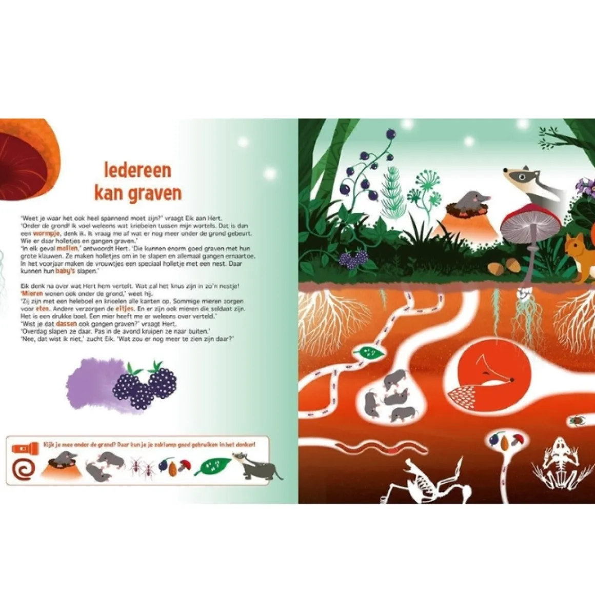 Zoekboek Speuren In Het Bos